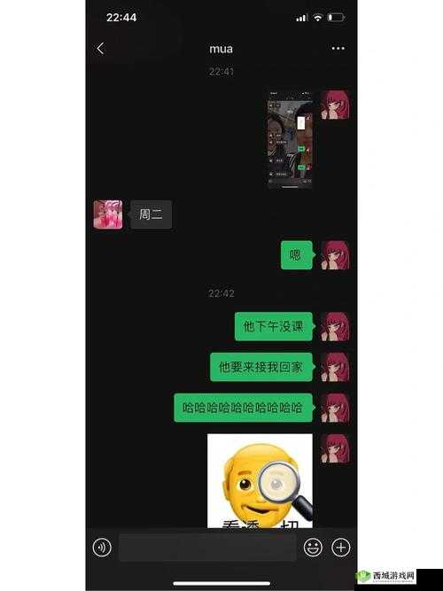 偷偷跟女朋友妈妈聊天正常吗：探讨背后意义
