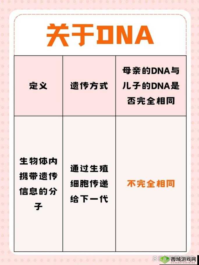 母亲的 DNA 和儿子的 DNA 一样吗