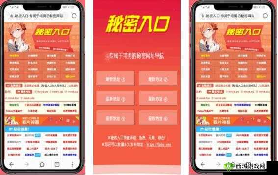 秘密入口3秒自动转接连接畅享网络自由-开启新体验
