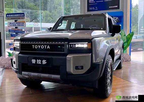 国产 SUV 精品一区二区四：卓越车型引领潮流