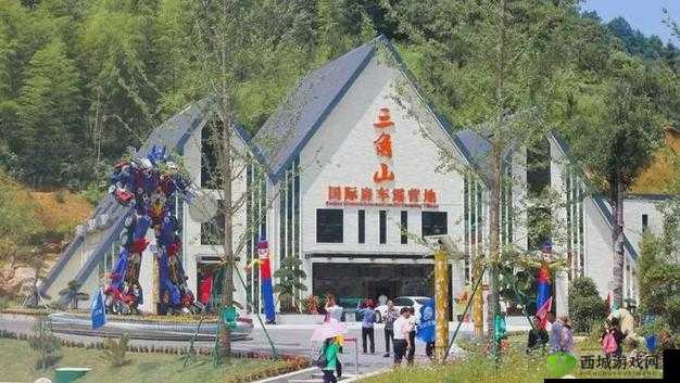 日本一区二三区好的精华液：肌肤的秘密武器