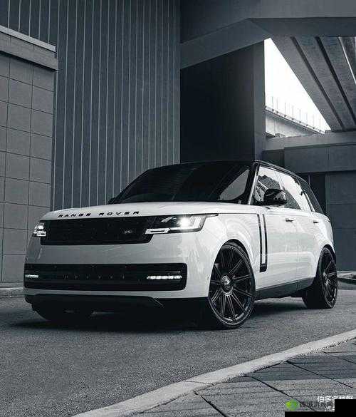 2024 年热门 SUV 推荐:多款车型任你选