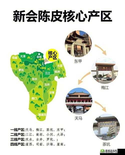 一线产区与二线产区知名品牌对比分析