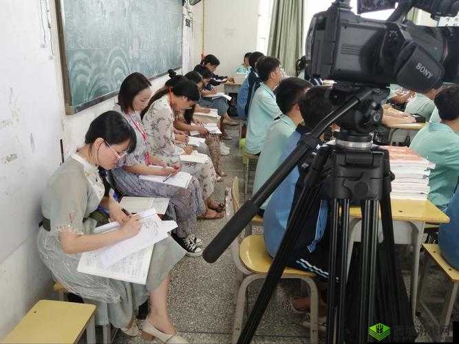 FREEZEFRAME 丰满老师：魅力课堂展现风采