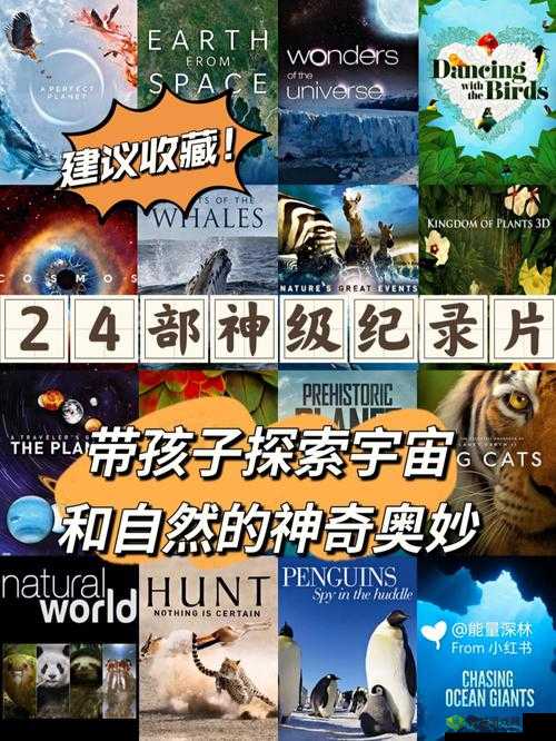 星空时代资源怎么找：探索未知，发现宝藏