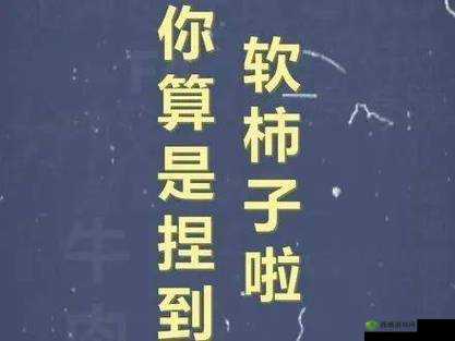 小东西你惹的火你来灭：看谁能笑到最后