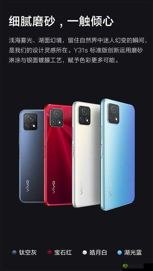 后成色好的 y31s 标准版官网：官方正品直供