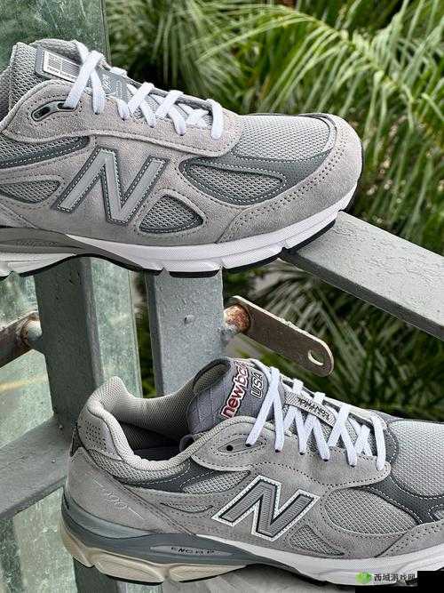 990v6 美版和亚洲版有哪些区别：全面解析