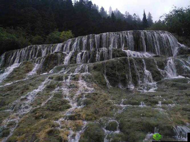 黄龙风景区溪水潺潺的秘密是什么：探寻其背后成因