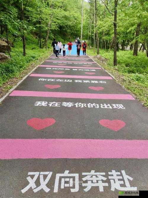 爱情路线测试二免费：全新测试等你来探索