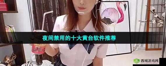 夜里十大禁用黄台 APP 软件：远离不良诱惑