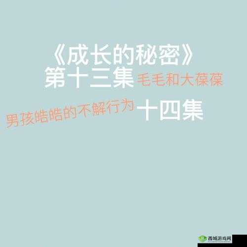 成长的秘密：毛毛葆葆观察记录与成长点滴