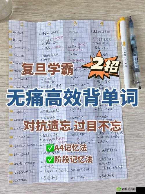 坐在学霸棍子上背单词：高效学习法的独特体验