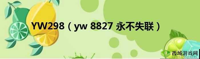 yw 永不失联国际 2024：永恒的连接与期待