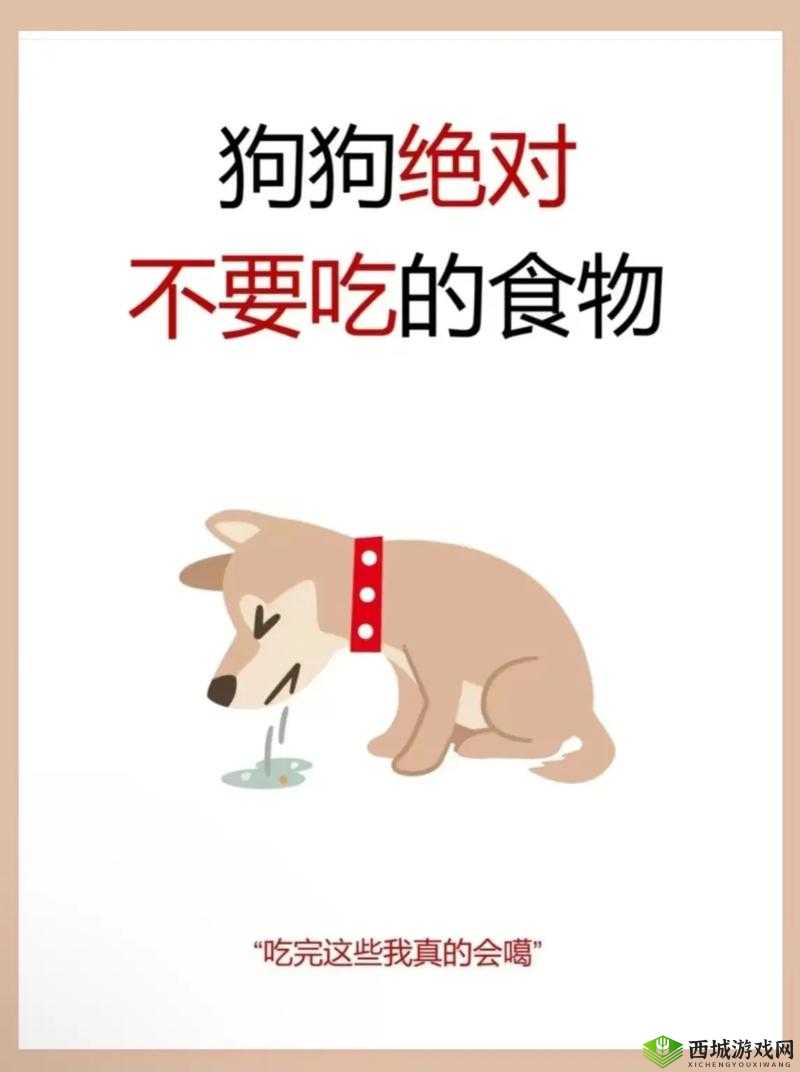人狗胶配方大全：狗狗一天吃多少