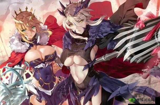 fgo 杉谷善住坊技能宝具深度解析：全方位解读其强度与应用