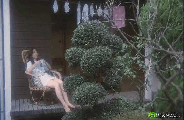 千乐啪啪：一个独特的存在