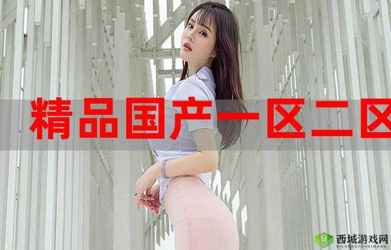 国内国精产品一二三区：探索未知的精彩世界