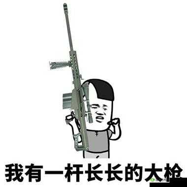 一杆大枪草全家：这是怎样的行为