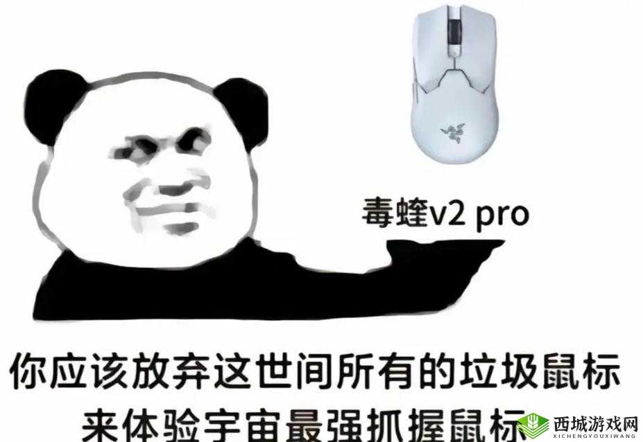 觊觎 1v2 猫丸：超有趣的组合