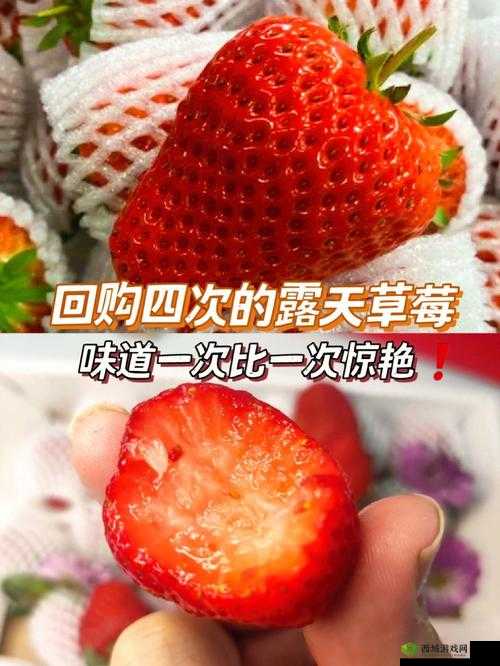 迈开腿吃草莓：健康生活新方式