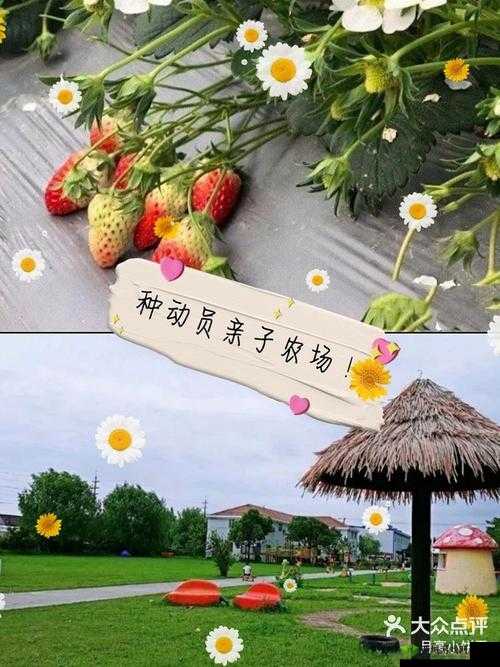 hc交女人：鲁交农场的故事