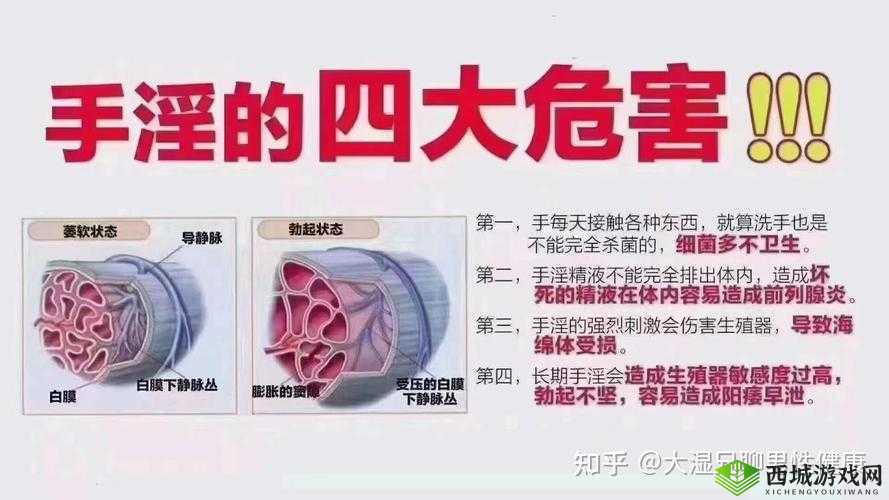 用手过度的海绵体受损怎么恢复：科学修复方法