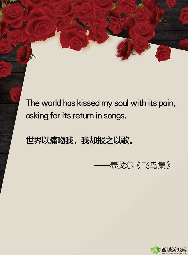我还没用力你怎么那么痛什么歌：到底出自何处