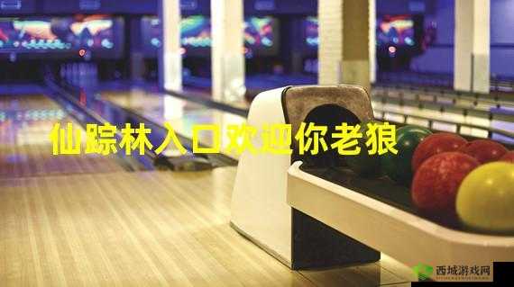 仙踪林官方网站：欢迎你