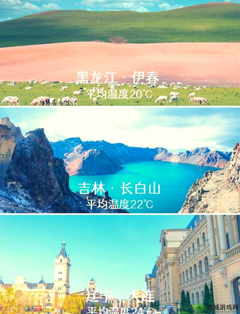 伊春园 2023 入口直达大象听说有 30 分钟视频：如此精彩，你不能错过