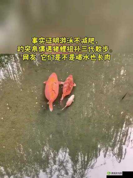 女人绝技鲤鱼喝水：精彩绝伦的表演