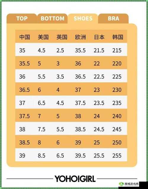 欧洲尺码日本尺码专 MBA 智库：深度解析与对比
