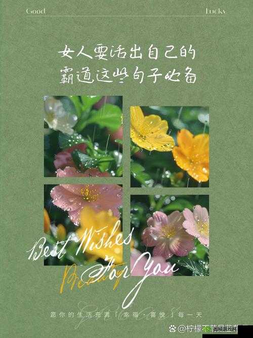 日本人 XXX ：独特的人生之旅