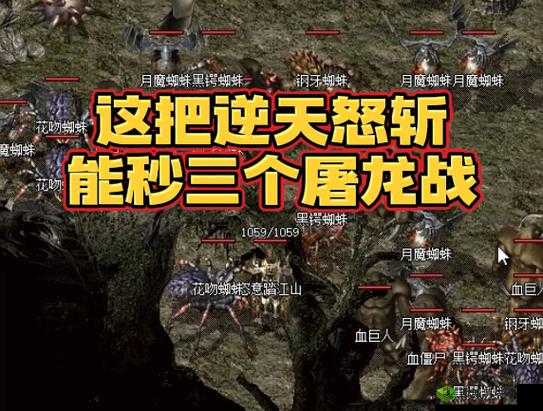 屠龙战双开软件深度解析：如何有效实现屠龙战双开攻略