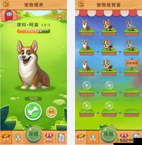 新手必知：天天酷跑3D宠物获取与养成升级攻略大全