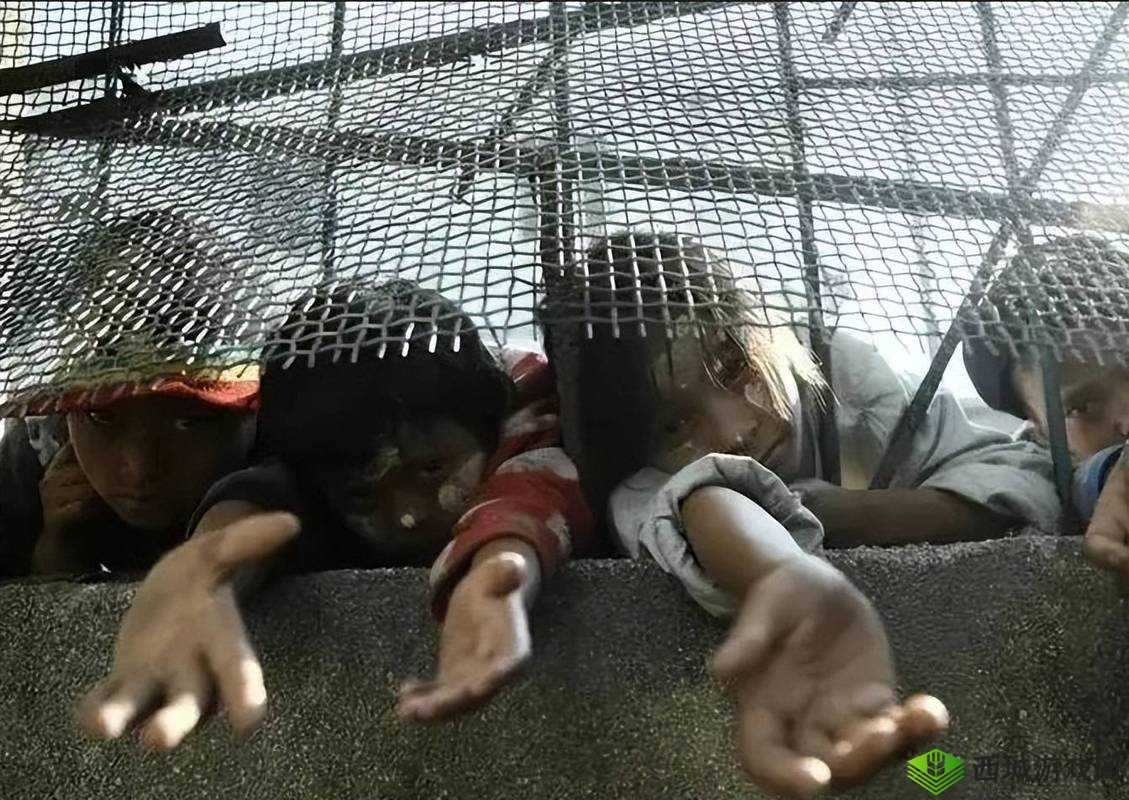 缅北园区实拍视频：揭秘罪恶之地