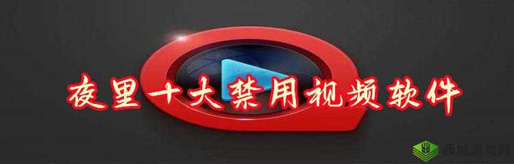 LSP夜里十大禁用软件：需谨慎使用