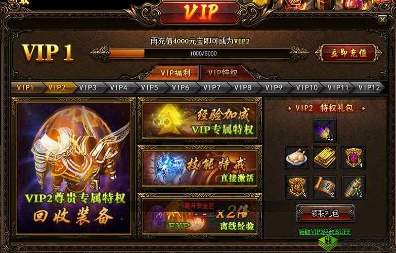 蓝月传奇 2 攻略：探寻玛雅五层进入之法全解析