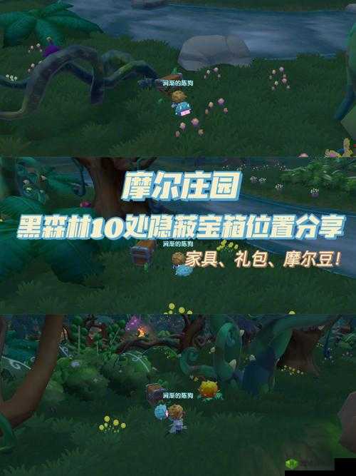 摩尔庄园黑森林，揭秘隐藏宝箱的奇妙之旅