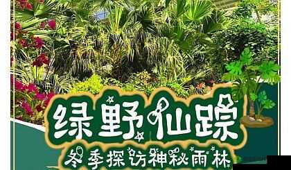 柬埔寨幼稚绿野仙踪www 将迎来全民直播：开启全新互动时代