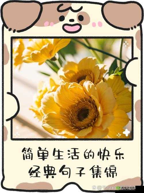 感受简单快乐，品味生活中的细微美好