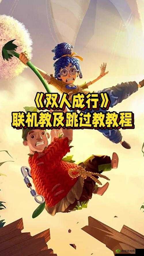 双人成行，资源管理与联机教程的深度解析