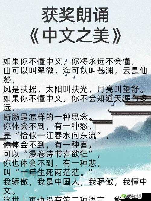 中文字字幕：关于中文字字幕的精彩内容解读
