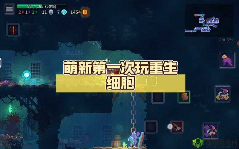 重生细胞声波弩，解锁隐藏武器的奇妙之旅
