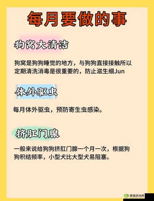 女狗任务表：一份记录狗狗精彩使命与责任的清单