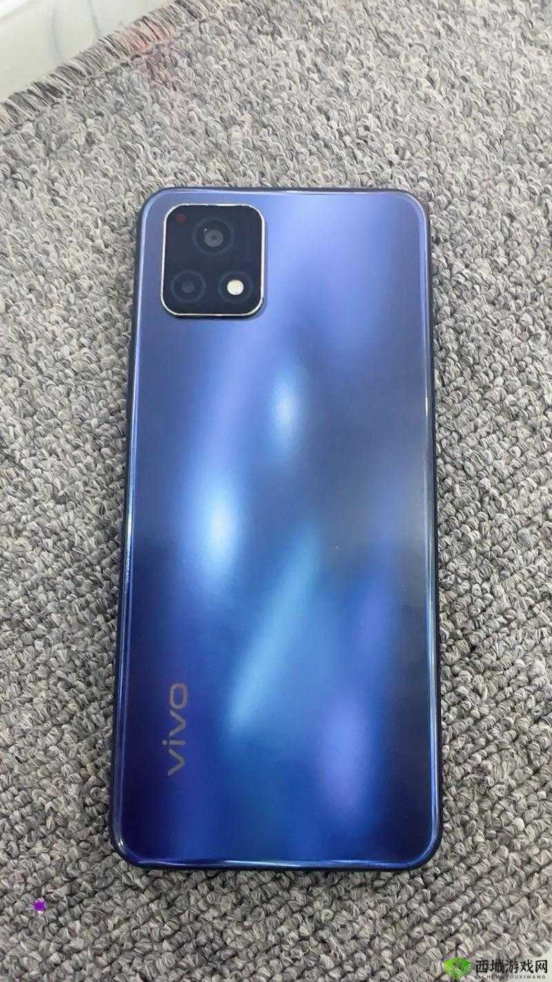 后成色好的 Y31s 标准版官网：品质卓越值得信赖