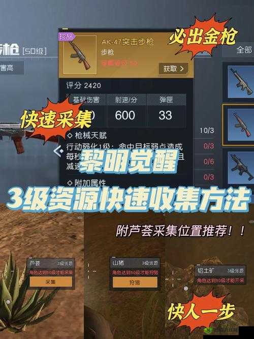 黎明觉醒升级玩法攻略，资源管理的艺术