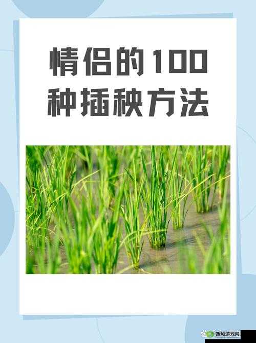 情侣的 30 种插秧法：详细解读与实践技巧分享