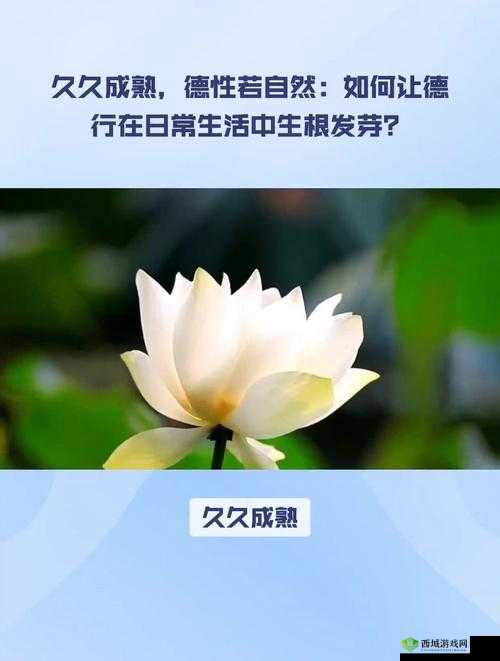 久久成熟：德性若自然，方为人生真谛