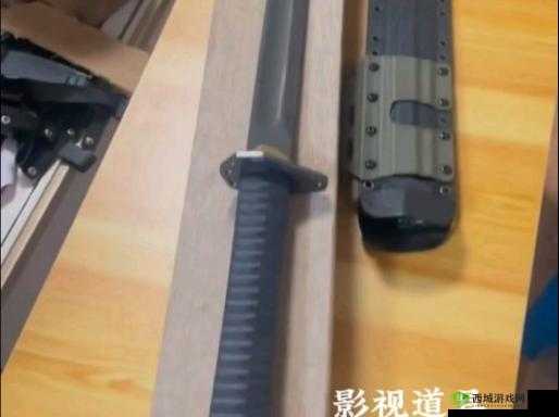 家族轮换战术技巧：提升家族竞争力的秘密武器